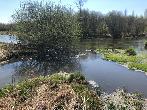 Росприроднадзор по СЗФО потребовал возместить ущерб, причиненный реке Ижора